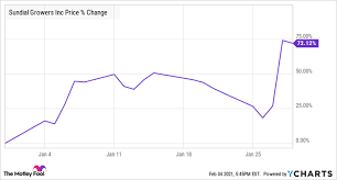 This may be an early warning and the risk will be increased slightly over the next couple of days. Why Sundial Growers Stock Jumped 72 Last Month Nasdaq