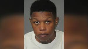 Wrong way driver led police