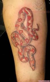 We did not find results for: Red Snake Tattoo On Leg
