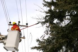 Your city powerlines stock images are ready. Trees And Power Lines The City Of Red Deer