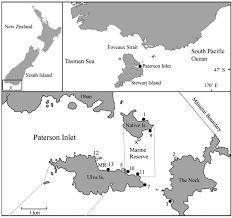 chart showing location of ulva island te wharawhara marine