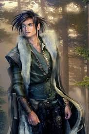 Castle Of Fantasies Character Half Elf Druid Elves Fantasy Fantasy Art Men Elf Druid