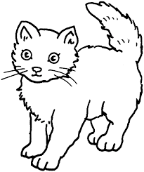 Gambar kucing lucu untuk diwarnai rumah kucing. Pin Di Coloring Pictures