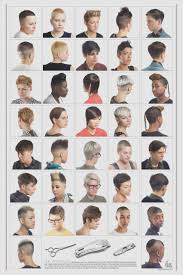 Haircut Chart New Hair Style