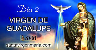 The origin of la virgen de guadalupe dates back to december 12, 1531. Novena A La Virgen De Guadalupe Dia 2 Fiesta El 12 De Diciembre