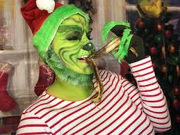 Are you as cuddly as a cactus? Easy Diy Grinch Costume Party Delights Blog
