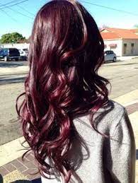Pin By Hearher Surface On Diy Salon Hair Color Burgundy 2015 Hair Color Trends Burgundy Hair