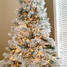 Well folks, early november wouldn't be early november if someone wasn't trying to jingle you into the christmas spirit. Snowy Eclectic Bohemian Style Christmas Tree