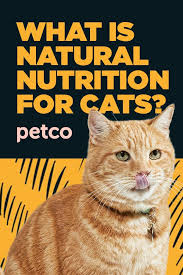 What Does Natural Cat Food Really Mean Natural Cat Food Natural Cat Funny Cats And Dogs