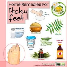 Home Remedies For Itchy Feet Top 10 Home Remedies Home Remedies For Skin Itchy Feet Remedy Itchy Skin Remedy