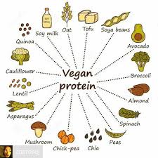 Plantbased Protein Vegan Regime Vegetalien Proteines Vegetalien Alimentation Vegetarienne