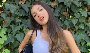 Her parents named her olivia isabel rodrigo and that's the name she stuck with. What Is Olivia Rodrigo S Ethnicity What We Know About Her Parents Stylesrant