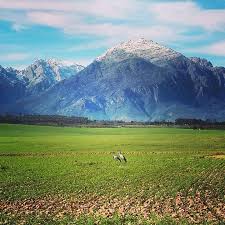 De Doorns 08 06 2014 Cape Snow