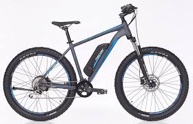 Fischer Fahrrader E Bike Em 1725 10 Gang Shimano Deore Schaltwerk Kettenschaltung Heckmotor 250 W Online Kaufen Otto