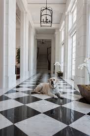 Formal Black And White Marble Entry Foyer Transitional Traditional By Jill Shevlin Design White Marble Floor Marble House Foyer Design