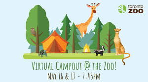 Toronto zoo, zoological park in west hill, ontario, canada, which ranks as one of the largest zoos in the world. Virtual Campout The Toronto Zoo African Safari Night Youtube
