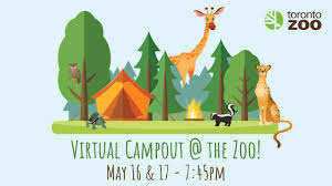 Toronto zoo is a real treat for animal lovers offering tons of excitement and a great learning experience. Virtual Campout The Toronto Zoo African Safari Night Youtube