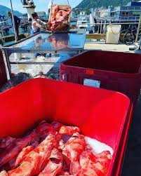 Maybe you would like to learn more about one of these? Deckhand Dave S Fish Tacos Home Juneau Alaska Menu Prices Restaurant Reviews Facebook