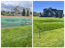 Image result for hydroseeding