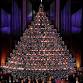 The Living Christmas Tree
