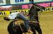 Nfr Team Roping