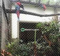 Malla antiaves: una solución para el control de aves