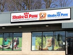 Proven tips from dog experts that has worked for more than 875,000 dog owners worldwide. Shake A Paw Rescue And Adoption Center The Shake A Paw Rescue And Adoption Center Is A Registered New Jersey Charitable Non Profit Organization Created To Provide Animal Rescue Shelter And Adoption