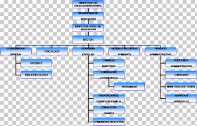 Organizational Chart Fitness Centre Diagram School Caracter