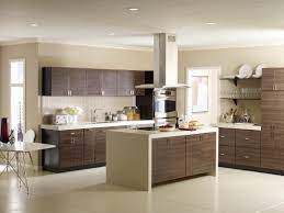 • the effects of light exposure and aging are minimal compared to painted or stained wood. Martha Stewart Living Debuts New Custom Kitchen Line For Home Depot L A At Home Los Angeles Times