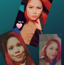 Mechanic needed for 2006 Honda Odyssey