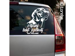 Image result for alpský brakýř jezevčíkovitý