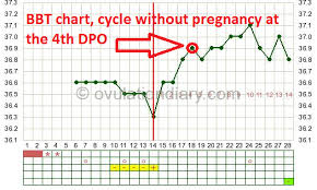 4 Day Past Ovulation Dpo In Case Of Pregnancy