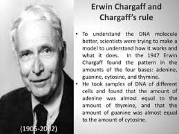 History of DNA Development
