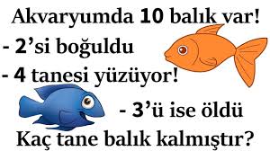 Sasirtmali Beyin Yakan 10 Zeka Sorusu Egitim Beyin