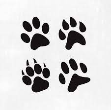 Pin On Paw Print