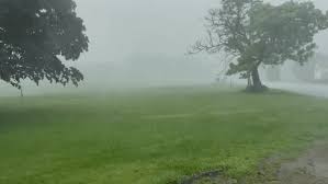 Strong Winds and Rain Lashes Onondaga County