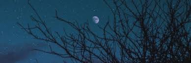 نتيجة بحث google عن الصور grunge photography celestial photography