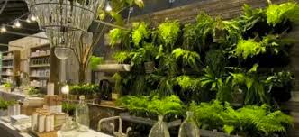 Fairy gardens are miniature landscapes with tiny houses, plants, trees, pathways and everything else. Garden Wall Ideas When Plants Become Interior Decor Video Huffpost Life