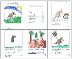 Nonfiction Writing In Kindergarten Kindergarten Writing Nonfiction Writing Informational Writing Kindergarten