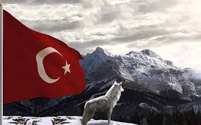 A collection of the top 57 original iphone wallpapers and backgrounds available for download for free. Hd Wallpaper Black Wolf Painting Bozkurt Turkish Turkey Flag Red Animal Wallpaper Flare