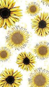 Sunflower Obsession Papel De Parede De Girassol Papeis De Parede Esteticos Papel De Parede Para Iphone