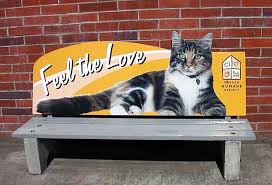 The humane society of the pikes peak region is the largest animal shelter in southern and western colorado, serving thousands of citizens and pets annually through our animal services, and by offering volunteer opportunities, education services and community outreach programs. Lamar Advertising Colorado Springs Creative Humane Society