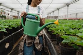 Containers may need to be watered every day in summer, yiesla said. 5 Easy Ways To Garden Using Less Water Greener Ideal