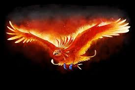 Image result for Phoenix