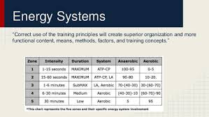 Body Systems Used In Swimming
