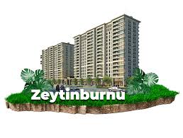 الدليل الشامل لـ منطقة زيتون بورنو في اسطنبول