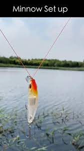 How To Tie Your Minnow Lure Video In 2021 Fishing Lures Fishing Knots Fishing Hook Knots