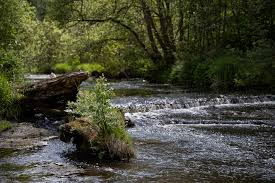 The 10mpx will yield an 8 x 12 at 300ppi without uprezing. The H Y 100 Filter Is One Clever Magnetic System Diy Photography