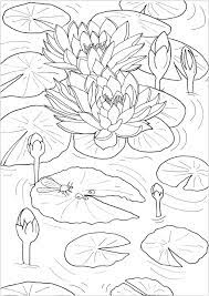 There are tons of great resources for free printable color pages online. Water Lilies And Little Dragonfly Flowers Adult Coloring Pages