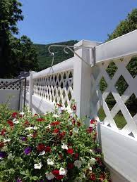 Maybe you would like to learn more about one of these? Pin On Gardening